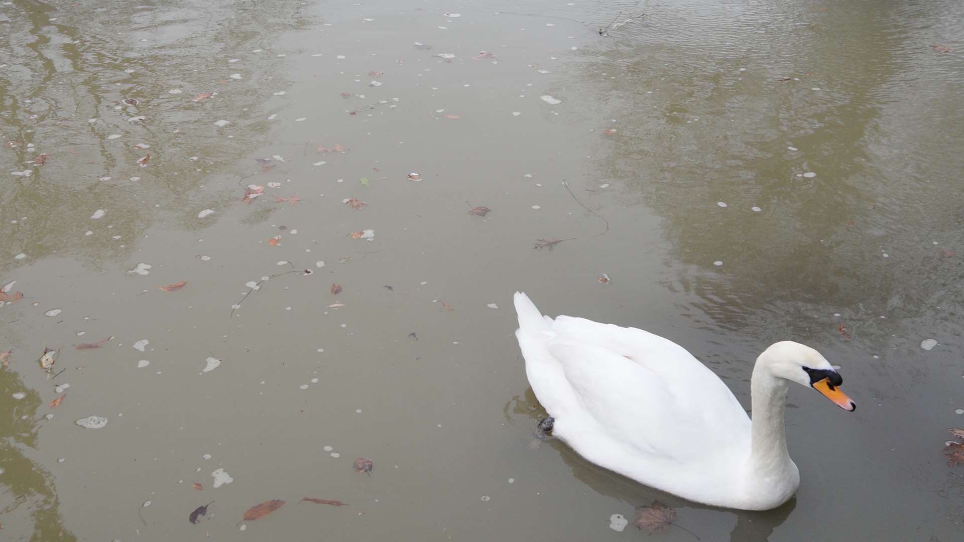 The road is closed due to flooding. Stock picture