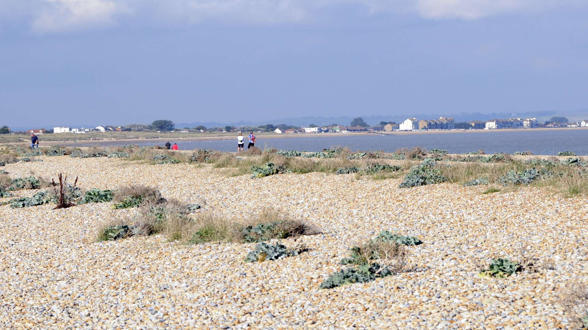 Littlestone beach was one of two to be rated sufficient