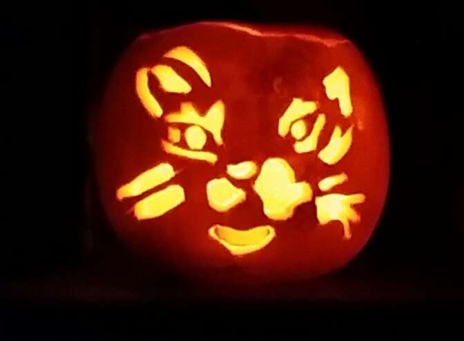 Melissa Gravestock sent in this cute pumpkin