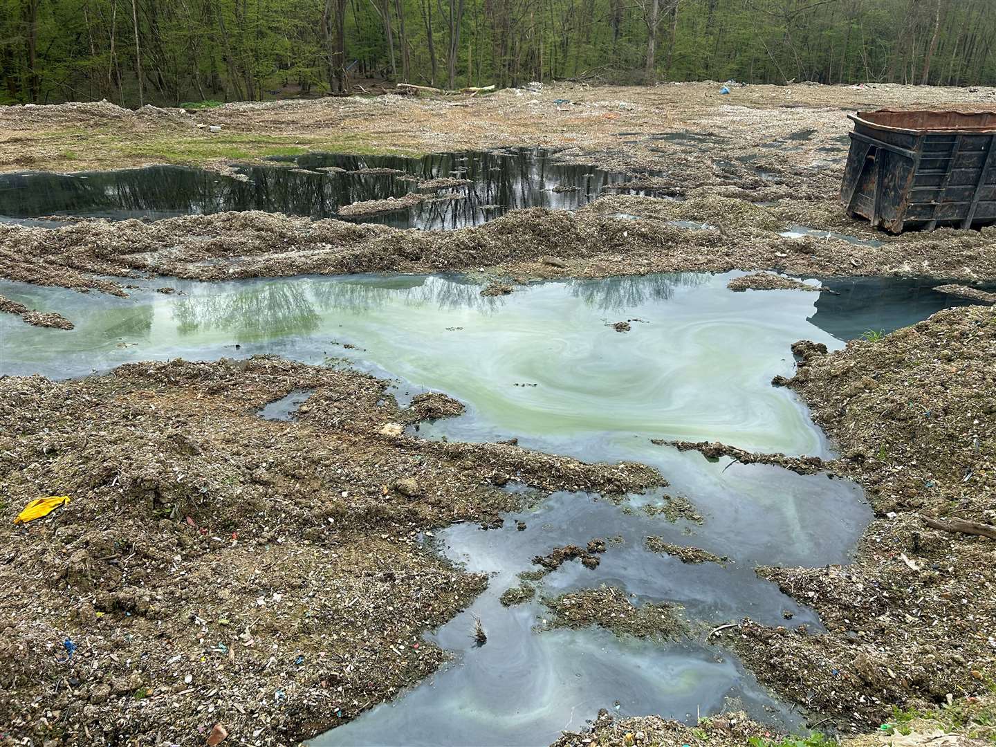 The leader of the Rescue Hoad's Wood campaign has called for the mess to be cleaned up before summer