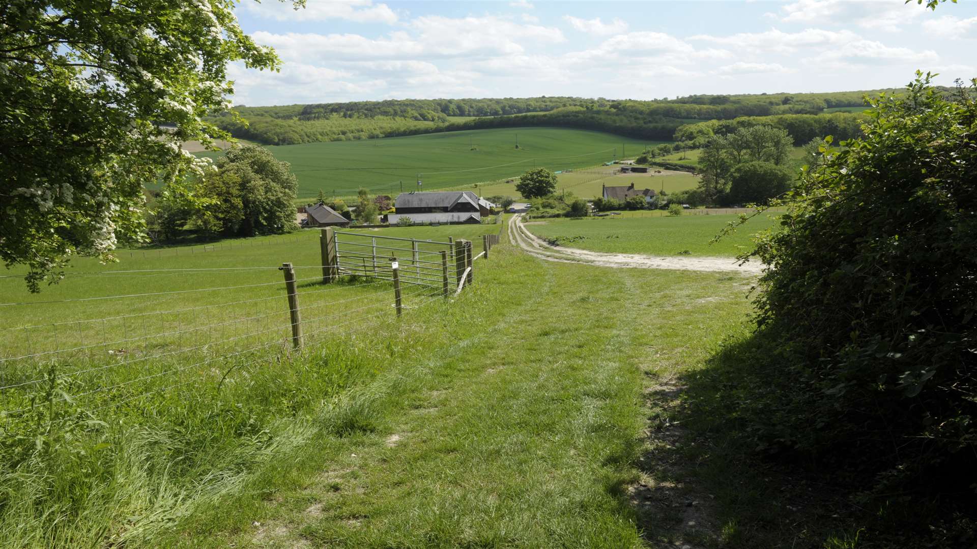 Ranscombe Farm Nature Reserve