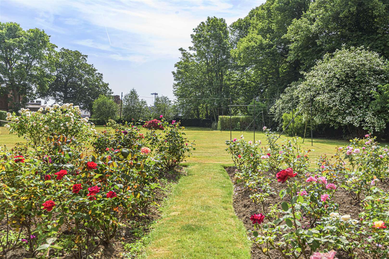 Traditional English country garden. Pic: Niche photography