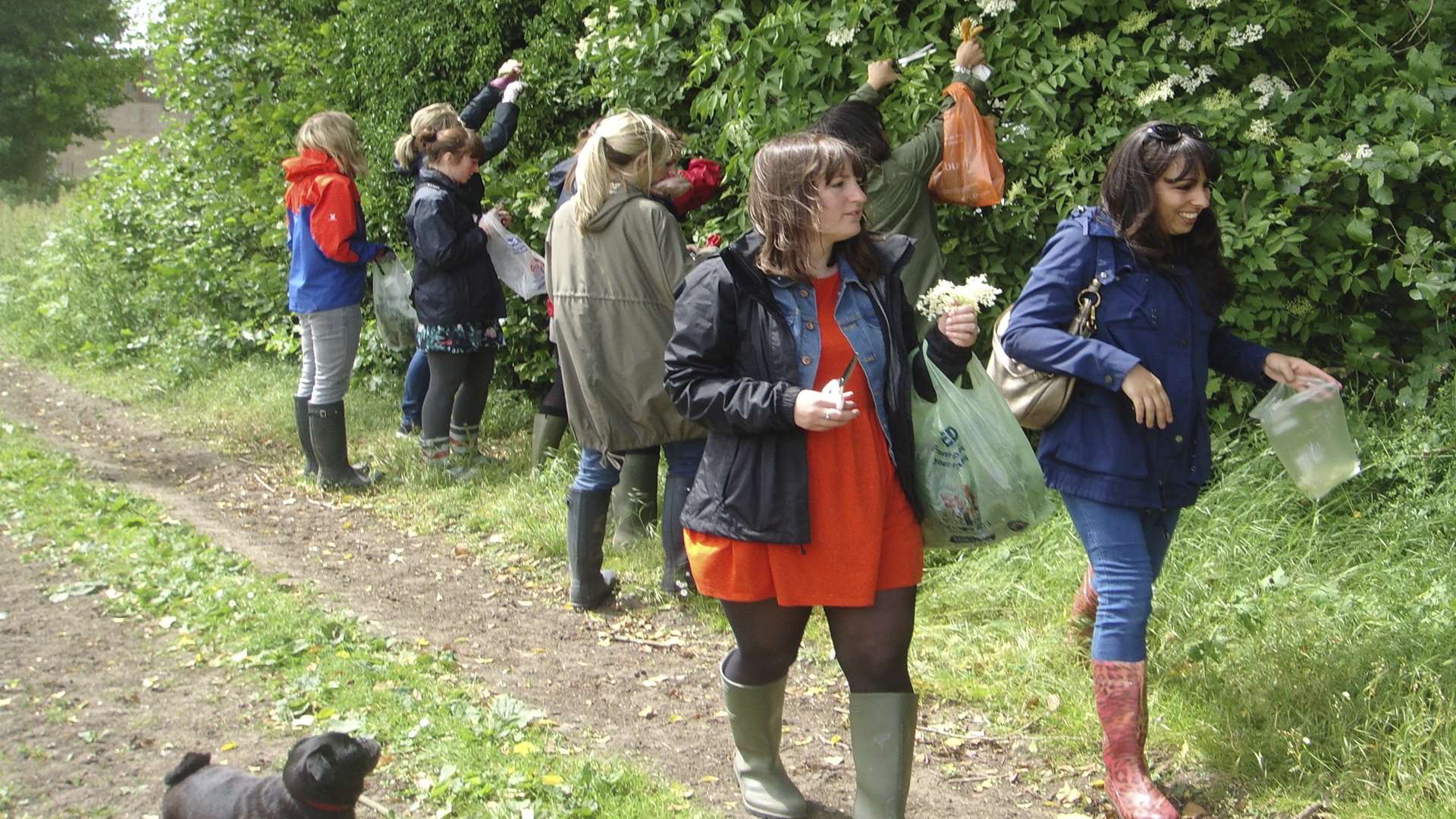 Forage for food at Betteshanger Country Park near Deal