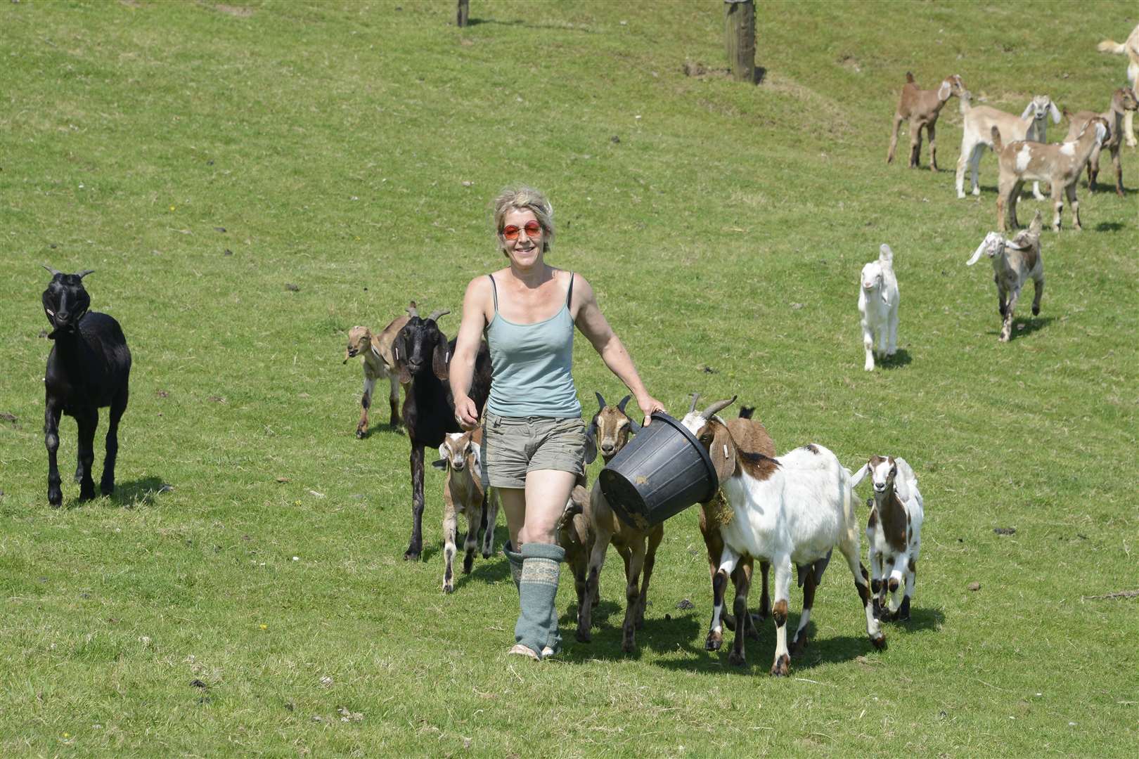 Hoatyh Sandy Meadows Goat Farm.Dawn Hacketts Sandy Meadows Farm ovelooking the Stunning Kent CountrysidePicture: Paul Amos (1883022)