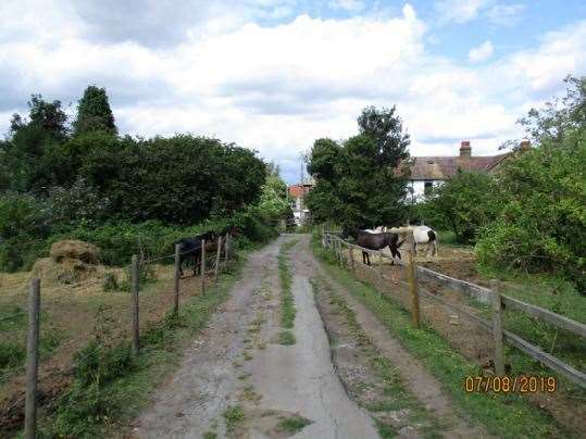 Access road with paddocks to east and west. Picture: BHD Architects