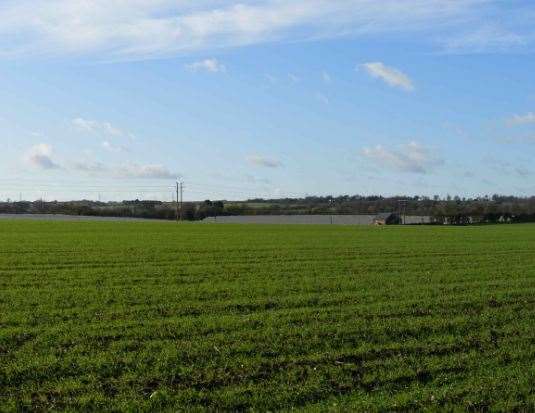 Farmland off Vigo Lane and Wrens Road in Borden where the solar farm was planned. Picture: Wardell Armstrong LLP