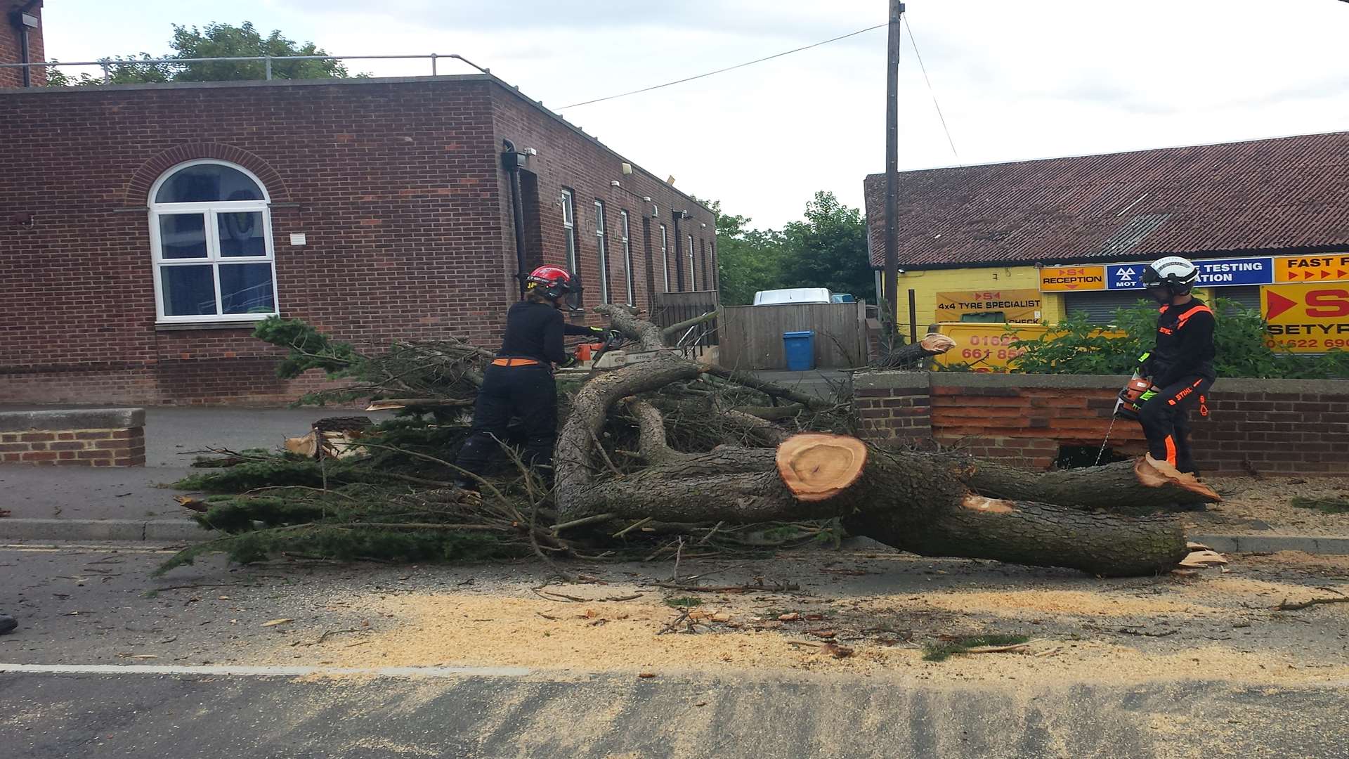 Both lanes had to be closed due to the fallen branch