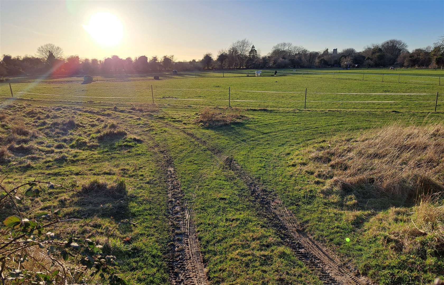 The horse field where the houses are planned off St Edmunds Road, Great Mongeham