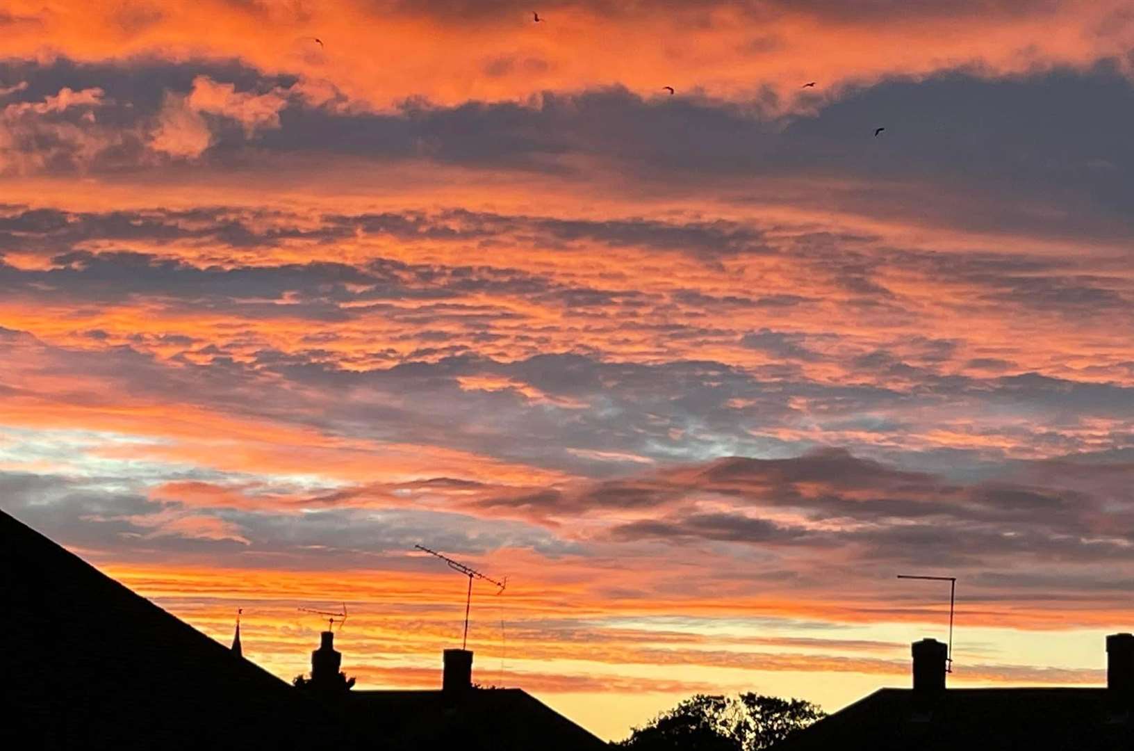 More October skies. Pic: Nettie Pinedo.