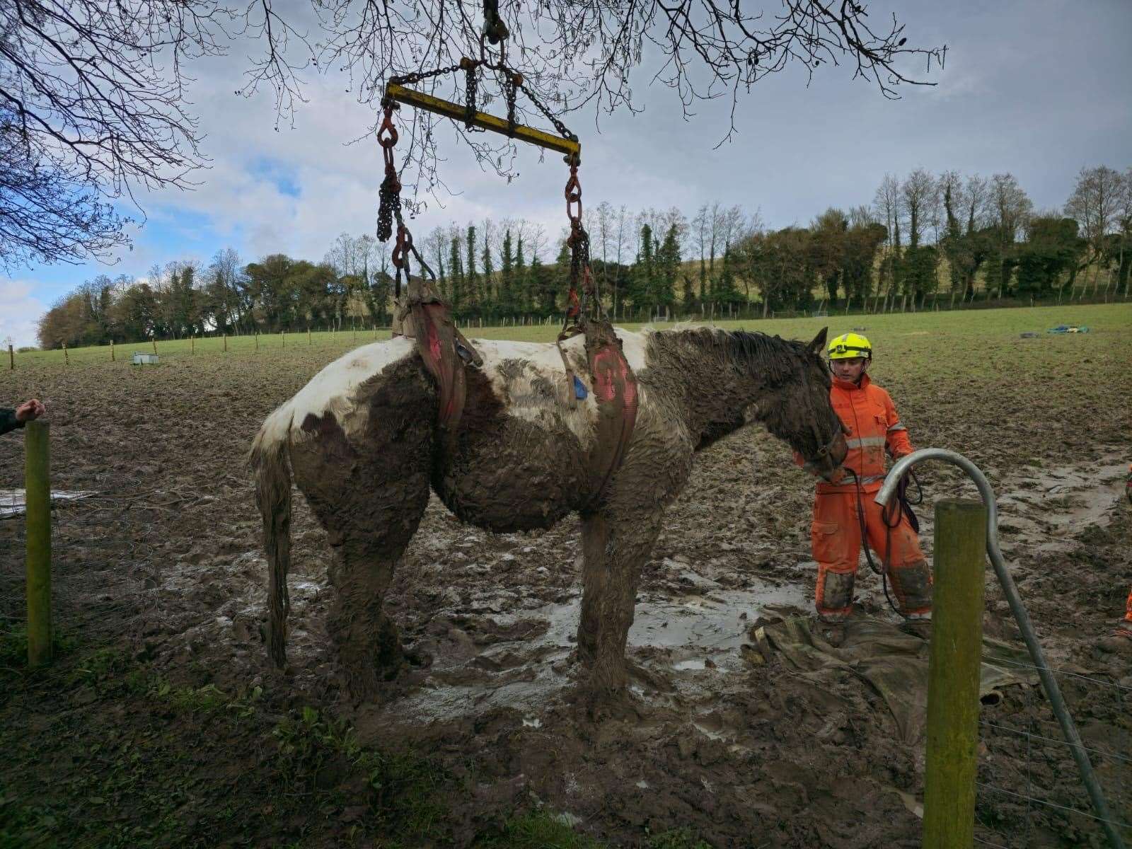 Ollie the horse got stuck in the field off Pilgrims Way, Hythe. Picture: KFRS