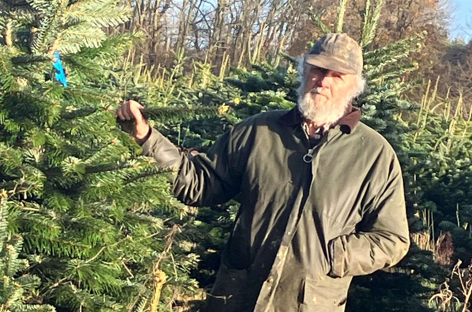 Rob Schroeder thinks KCC should do more to support small businesses such as Kingswood Christmas Trees. Picture: Simon Finlay