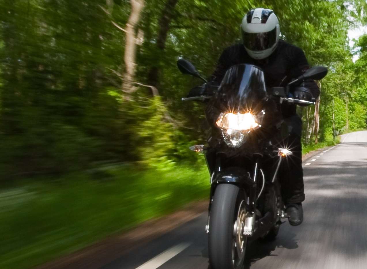 Drunk biker crashed into trees. Stock image.