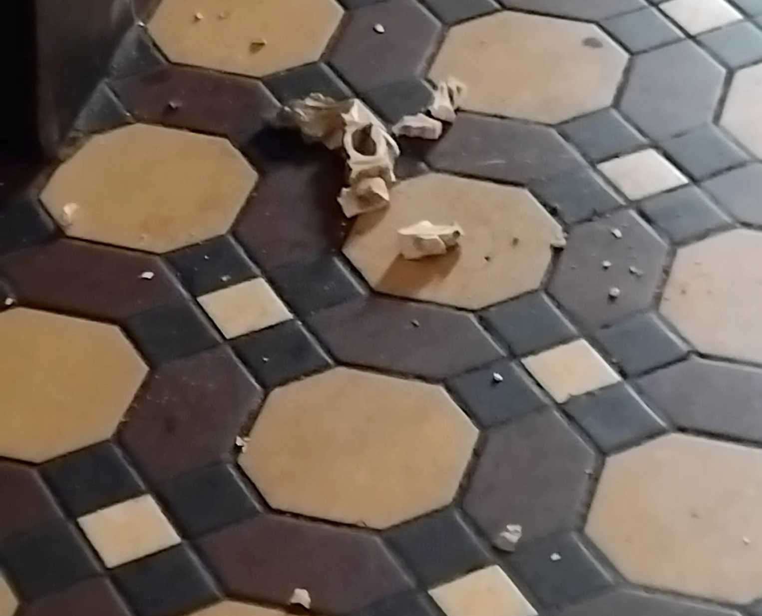 The debris after part of a decorative cornice on the ceiling in The Samuel Peto Wetherspoon pub in Folkestone crumbled. Picture: Jason Moves