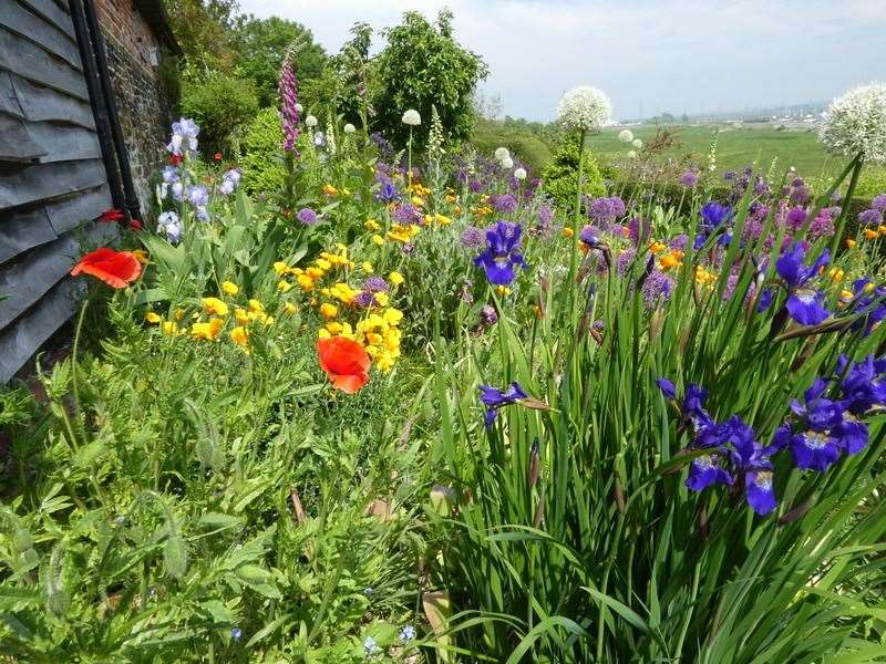 The Vaight's glorious garden in Oare