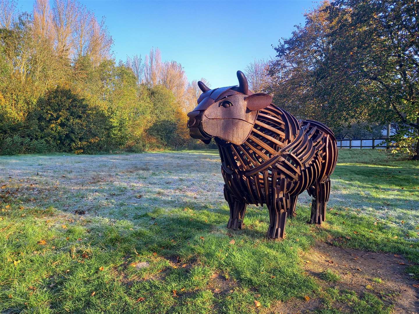 Extra statues could join the bull at Tannery Field