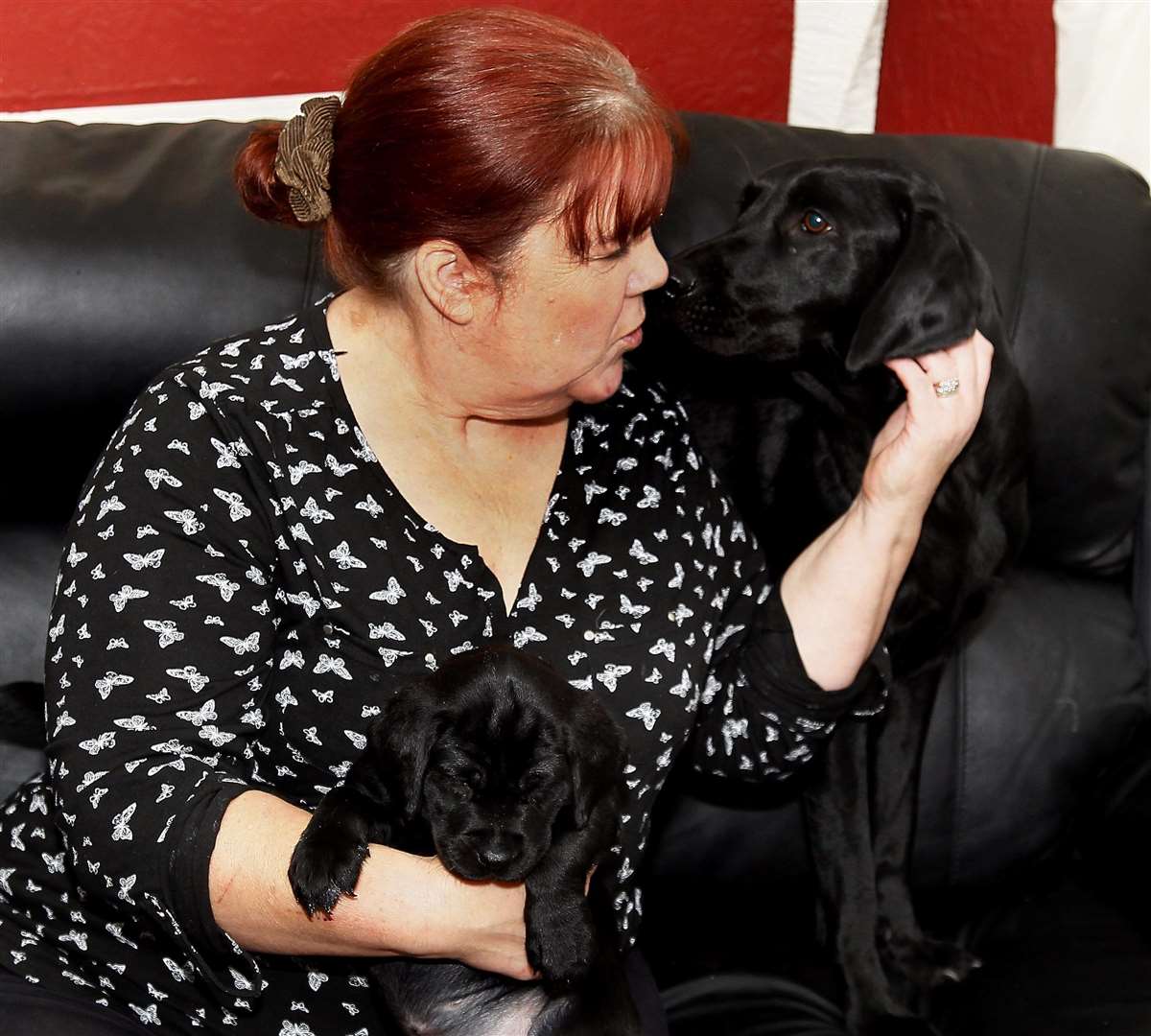 Esther Barrett with Labrador Beau and one of her puppies in their home at Allhallows, Rochester.Picture: Sean Aidan (19571966)