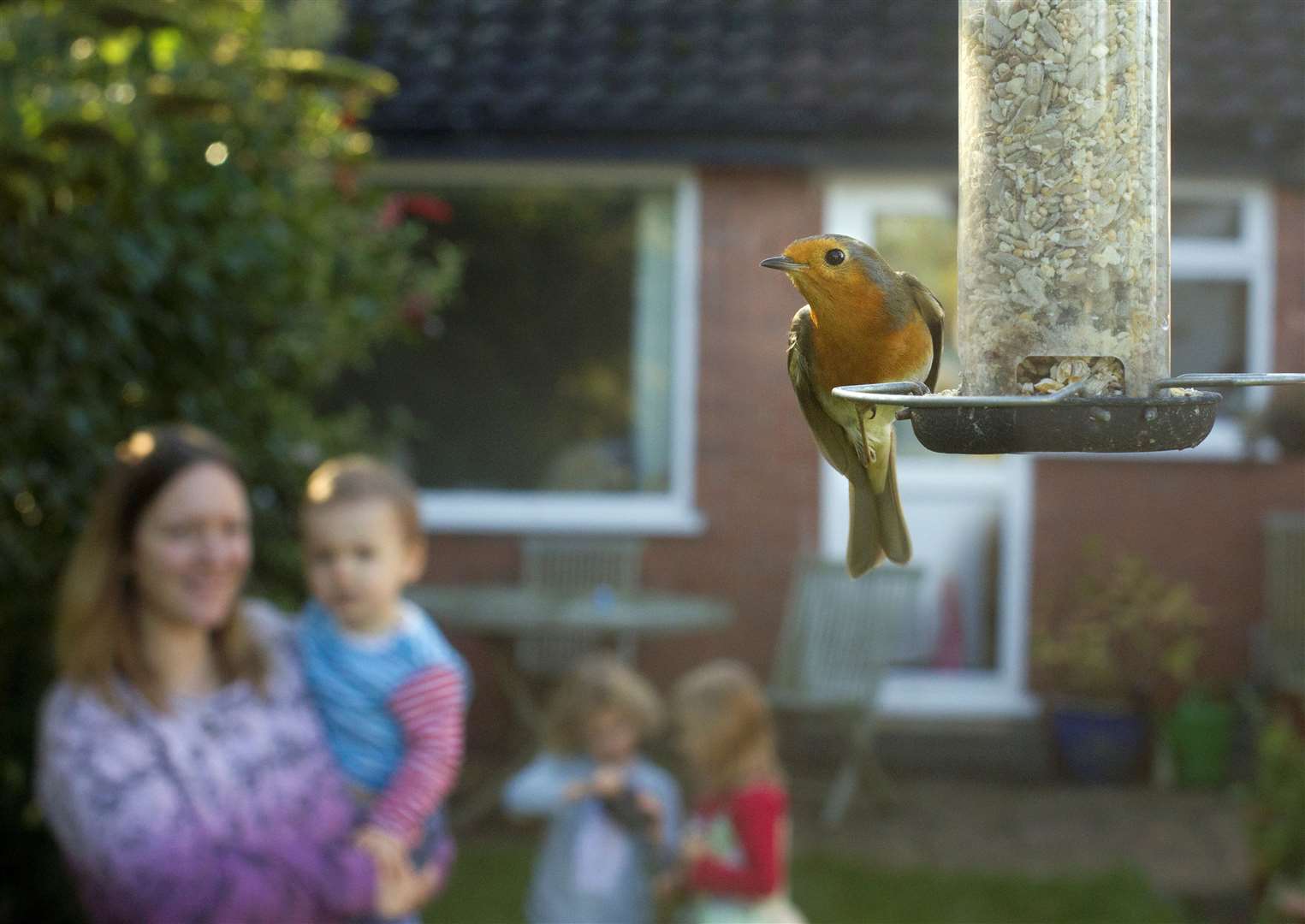 People must sign-up online to take part. Image: Ben Hall (RSPB images).