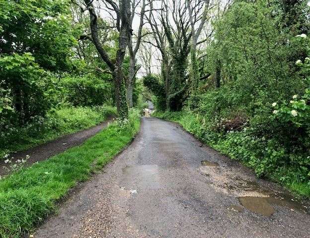 Well and truly hidden from view – the pub is at the far end of this leafy driveway