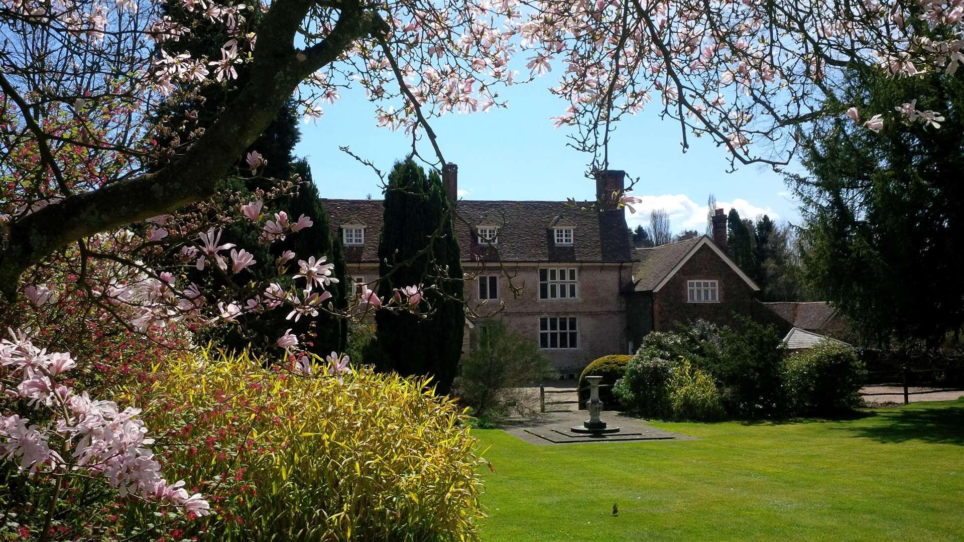 There are over 80 magnolia trees at Great Comp Garden. Picture: Vikki Rimmer