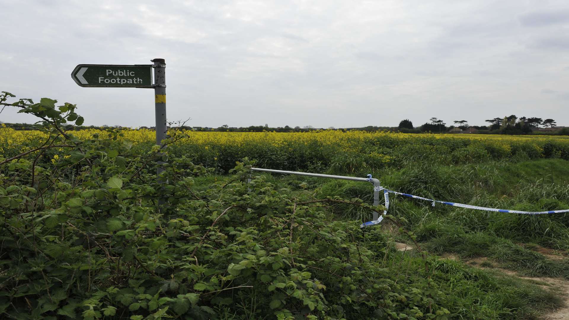 The footpath leading to the field. Picture: Tony Flashman