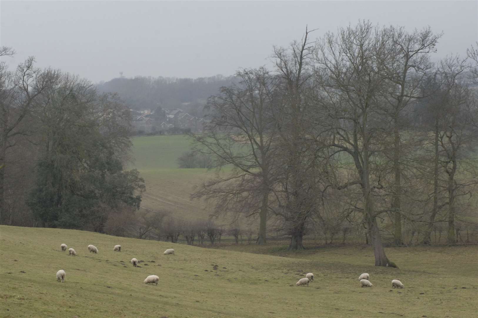 The land where Kent International Gateway was proposed in Bearsted. Picture: Grant Falvey