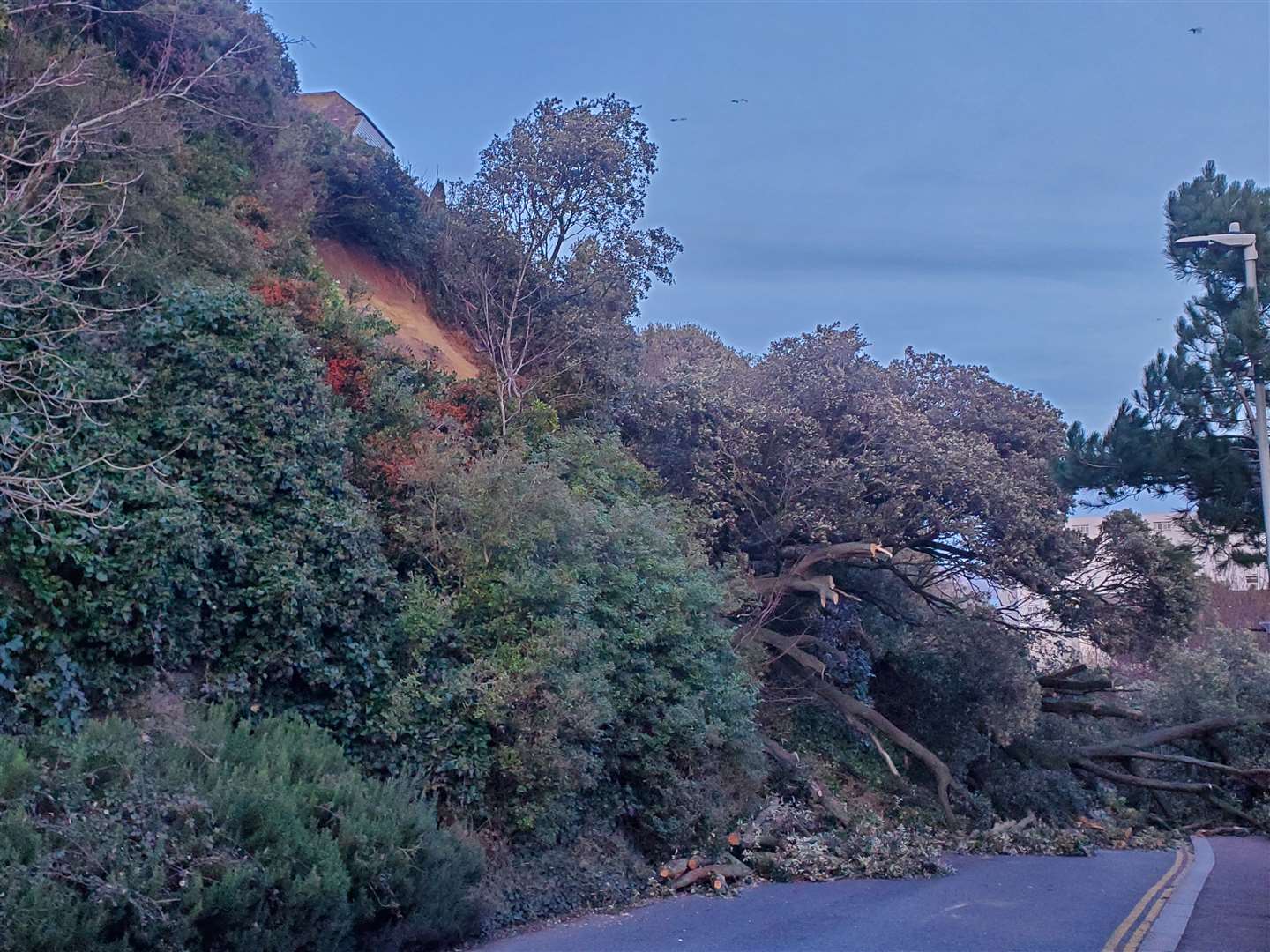 The Road of Remembrance in Folkestone has been blocked by a landslide and fallen trees. Picture: Michael Stainer