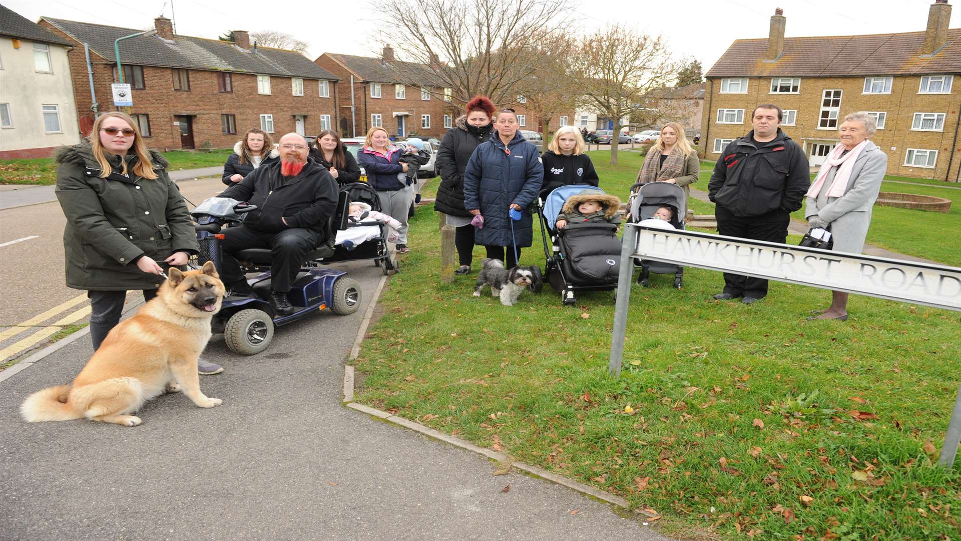 Medway Council is proposing to put parking restrictions on grass verges in nine roads in Twydall.