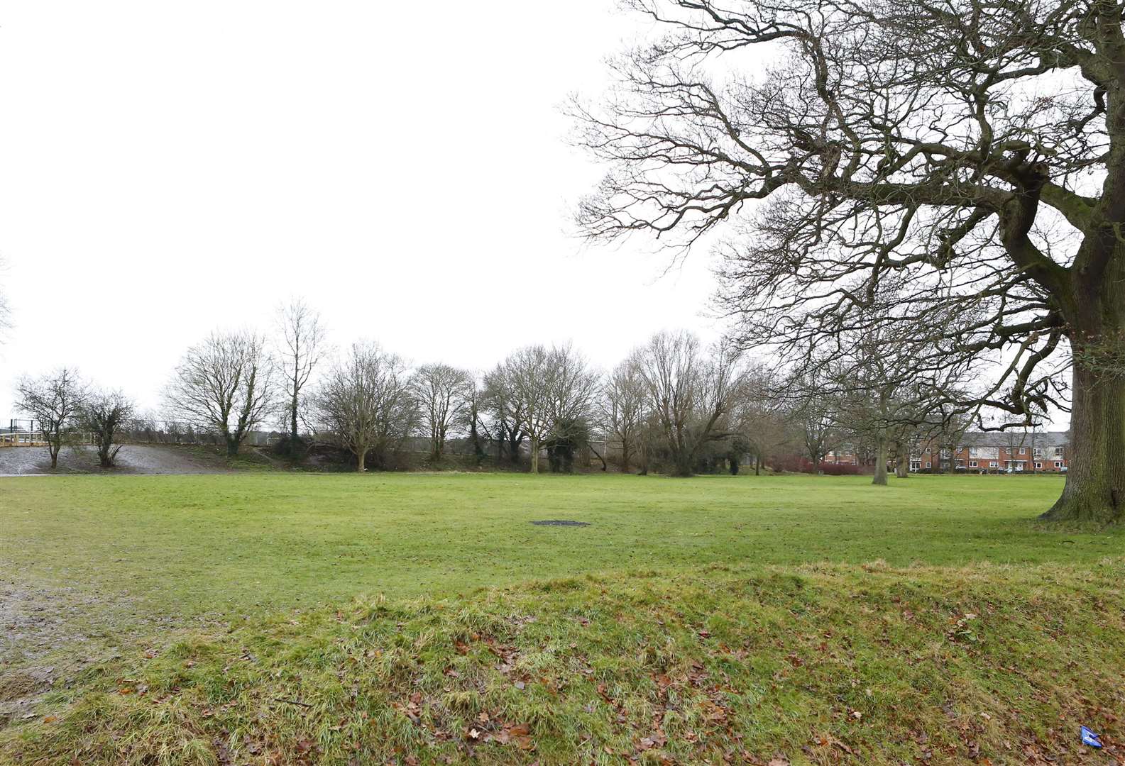 The Oak Field next to Courtside is earmarked for development