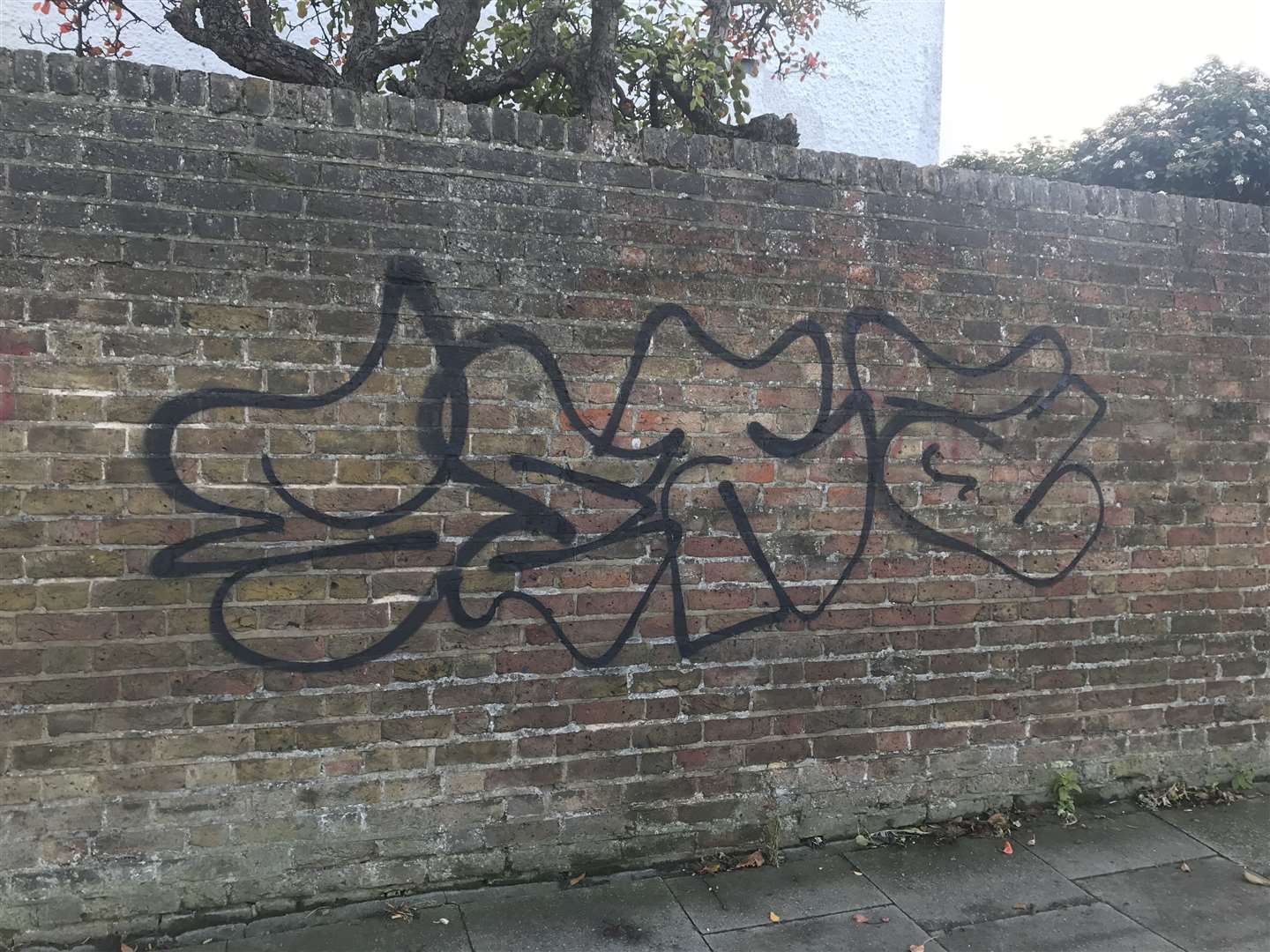 Graffiti in Avenue Road (19634626)