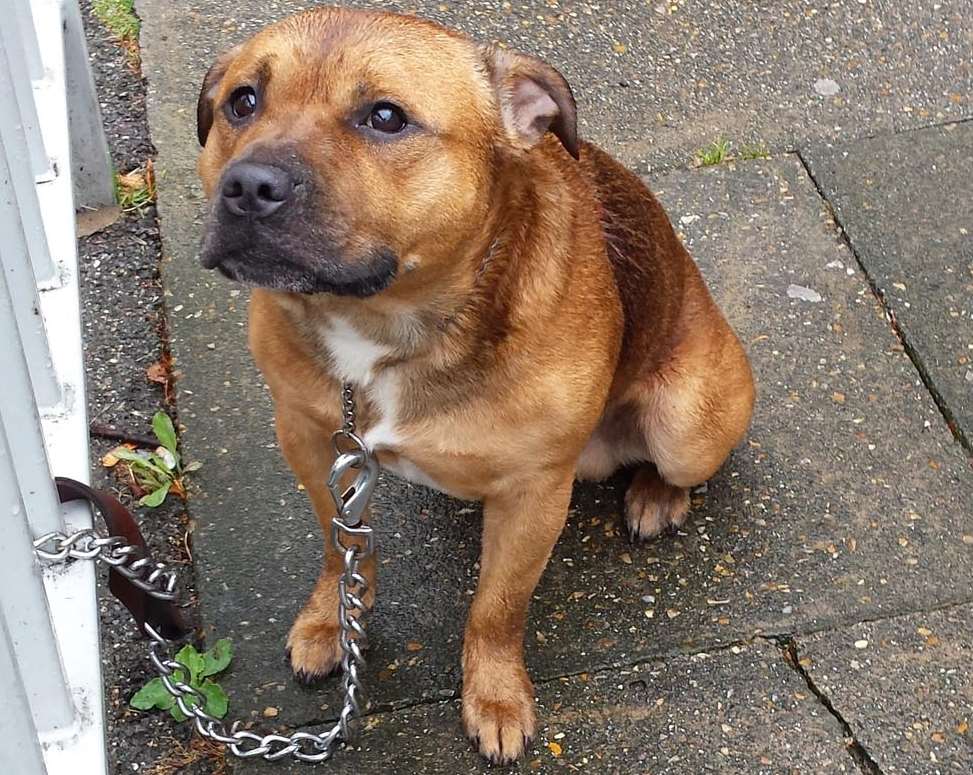 Thomas was found tied to a railing with a stab wound in his side