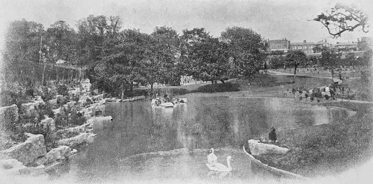 Swans on Dane Park's lake, which has since been filled in. Picture: Frank Leppard