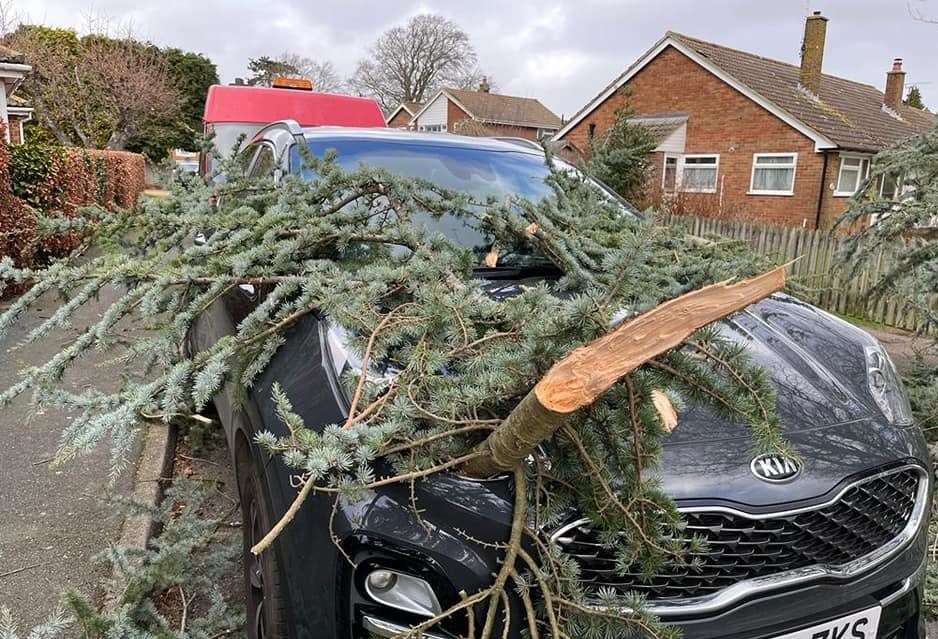 Branches fell onto a Kia in Bridge. Picture: Michelle Barrigan-Hollingsbee