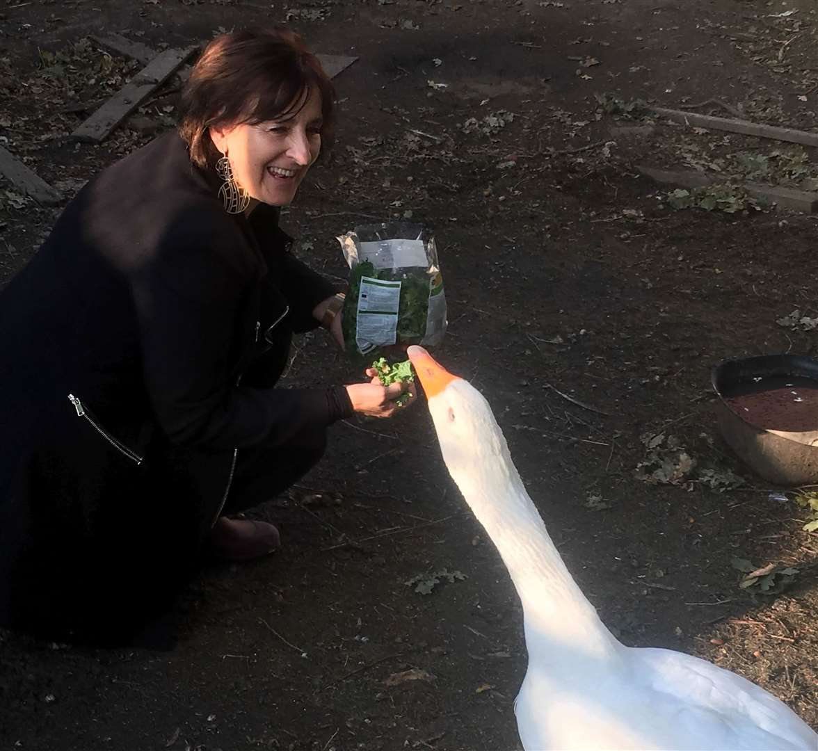 Maureen Grant thought somebody had cooked poor Freddie the goose. Picture: Charlie Grant