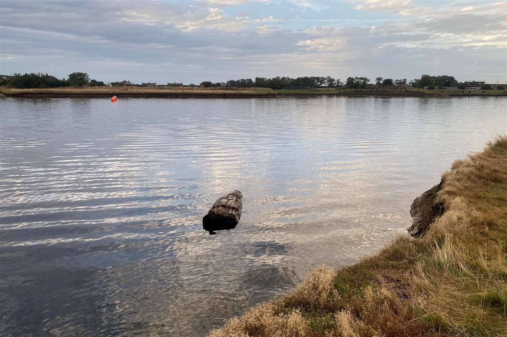 The bird sculpture at Barton's Point in the water after being vandalised. Picture: Elliott Barber