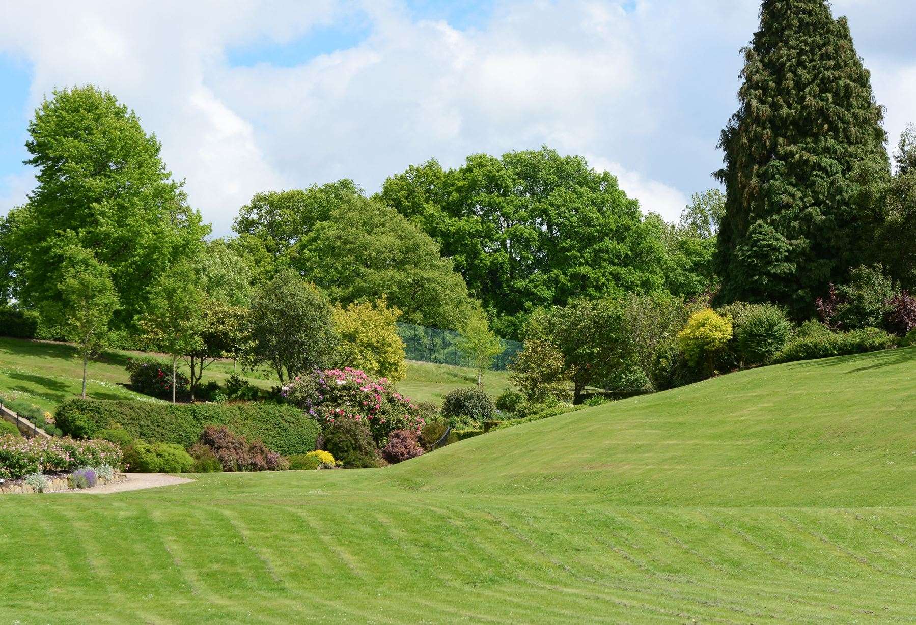 Police are investigating the attack in Calverley Grounds