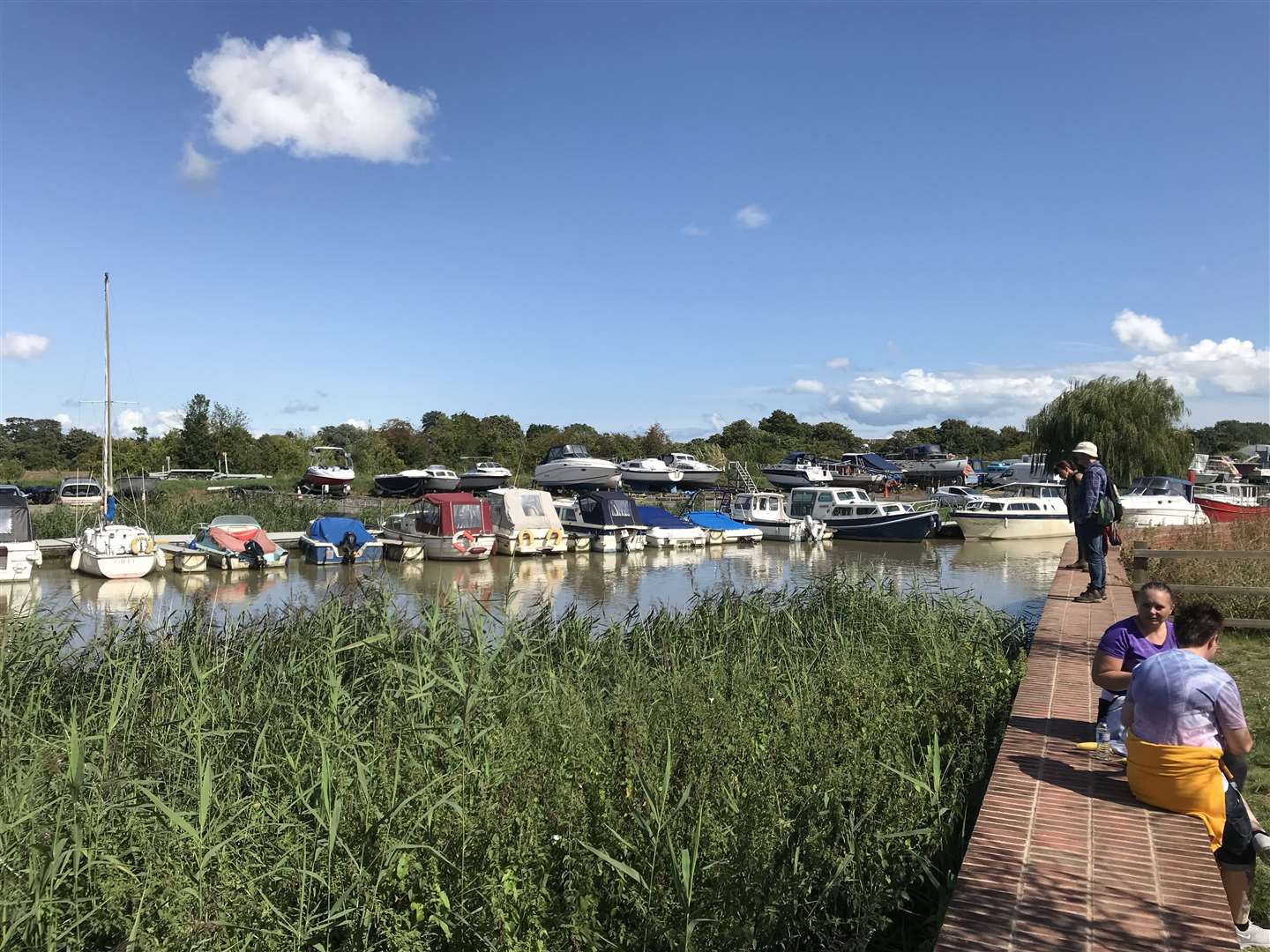 Search teams along the banks of the River Stour (15393705)