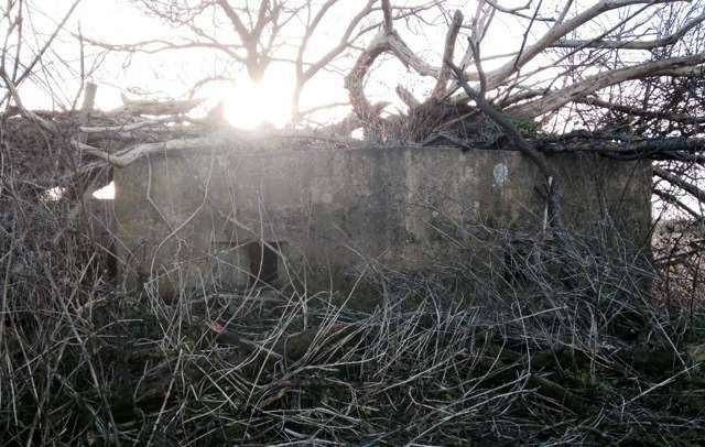 One of the pillboxes at Eastchurch