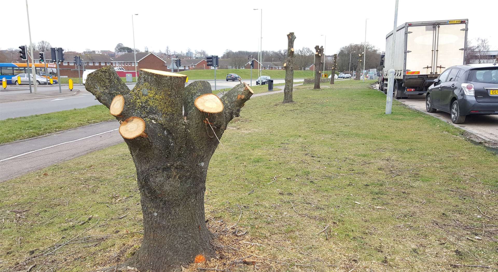 Trees along Chart Road were cut back and felled in 2018 ahead of the works