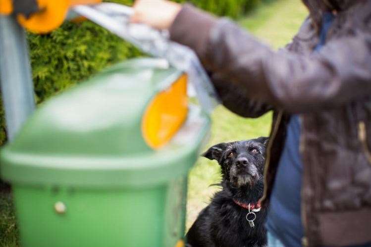 The dog DNA registration scheme will crack down on irresponsible owners. Picture: GettyImages