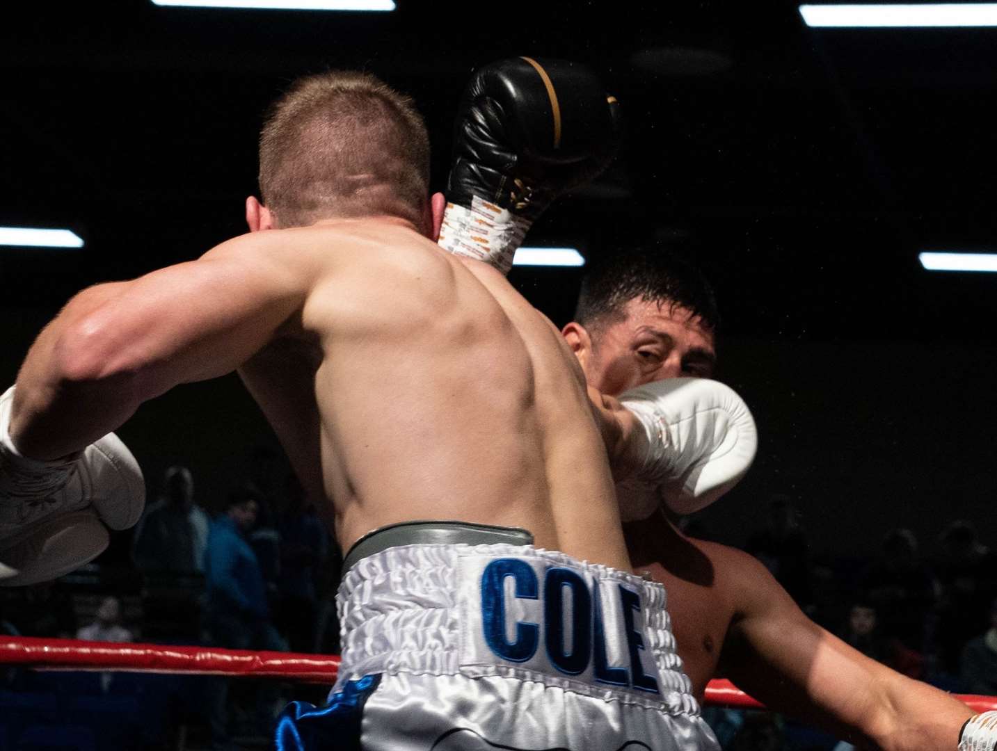 Branson-Cole lands a punch. Picture: Sofia Graca