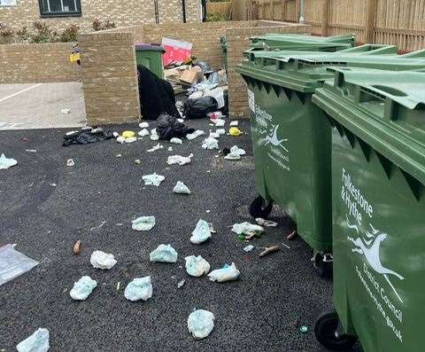 Dirty nappies pictured scattered across the car park in Starfield Close, which is located close to the Cheriton Tesco petrol station. Picture: George Allan