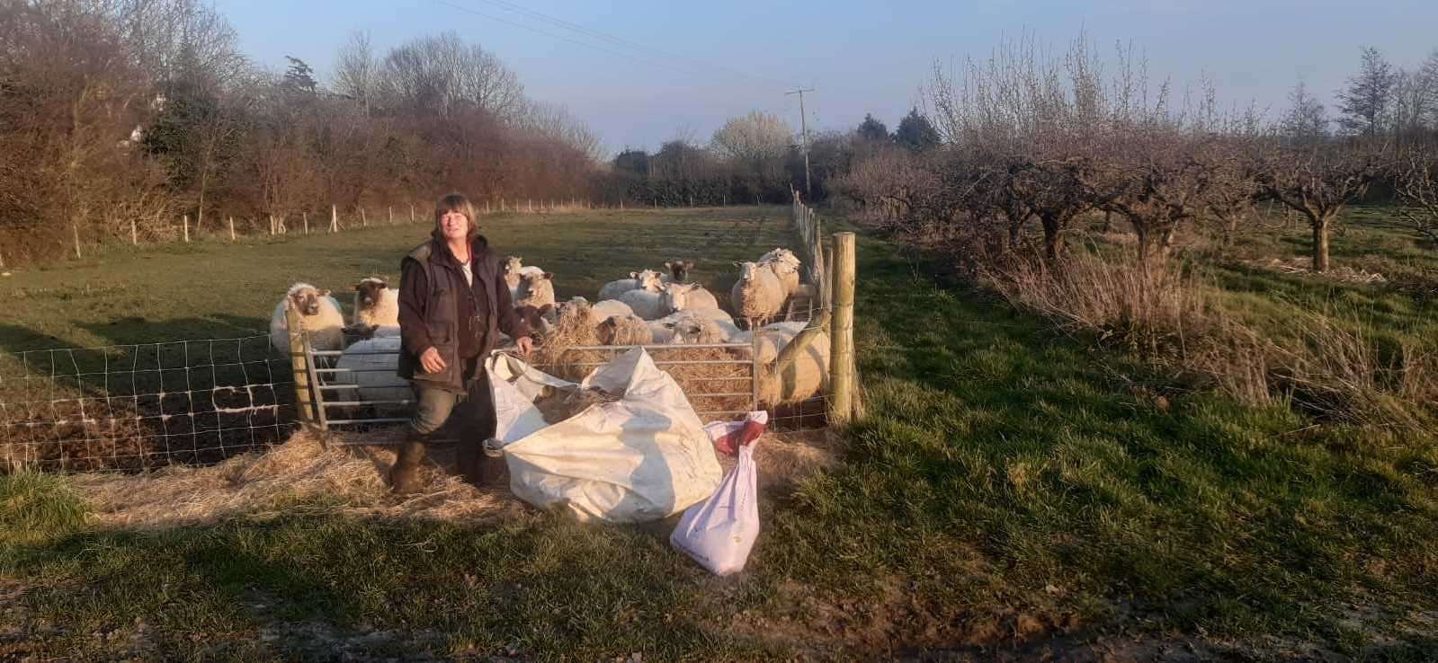 Shepherd Suzanne Stephens with the sheep she looks after (45400690)