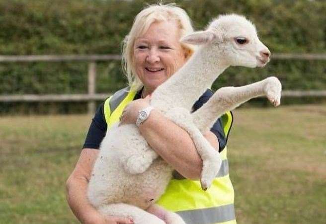 Annie says the animals have a calming presence