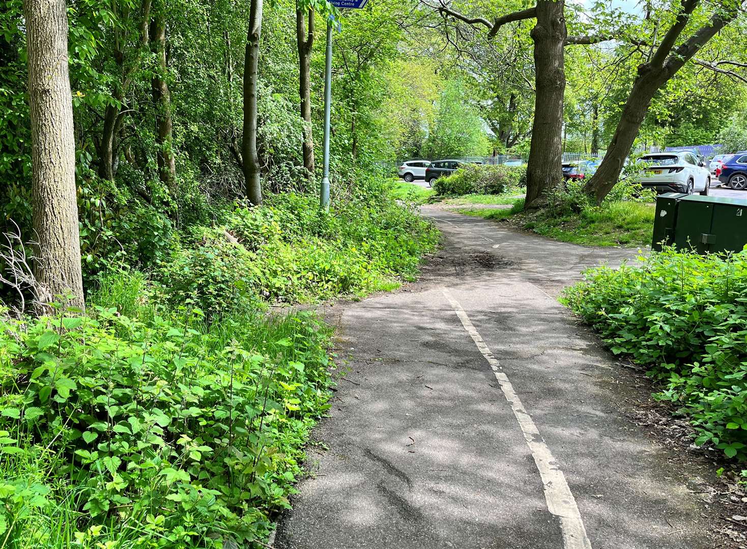 The attack happened in Fellowship Walk in Kestrel Road, Lordswood