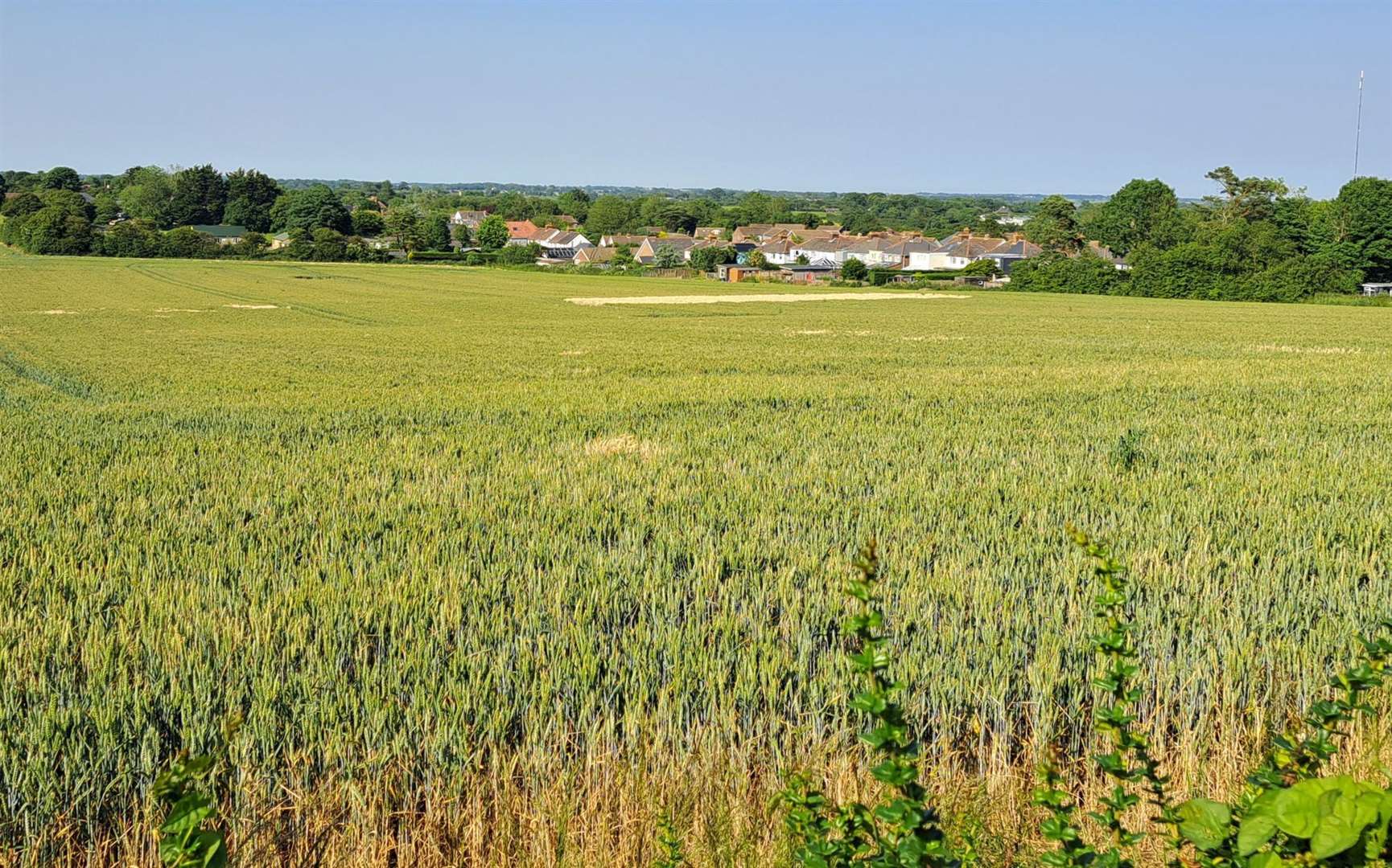 Part of the site in Capel-le-Ferne where plans for 90 homes have been approved