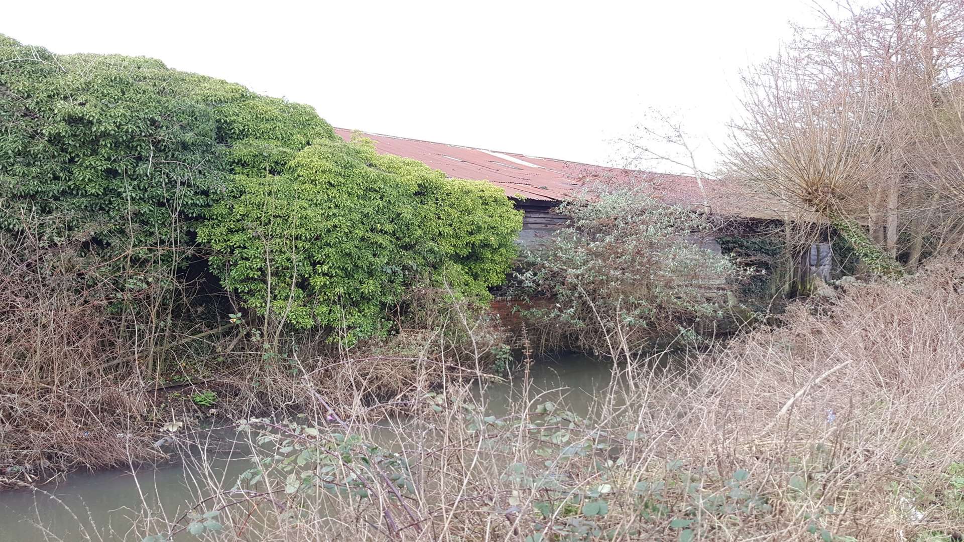 The buildings from the river