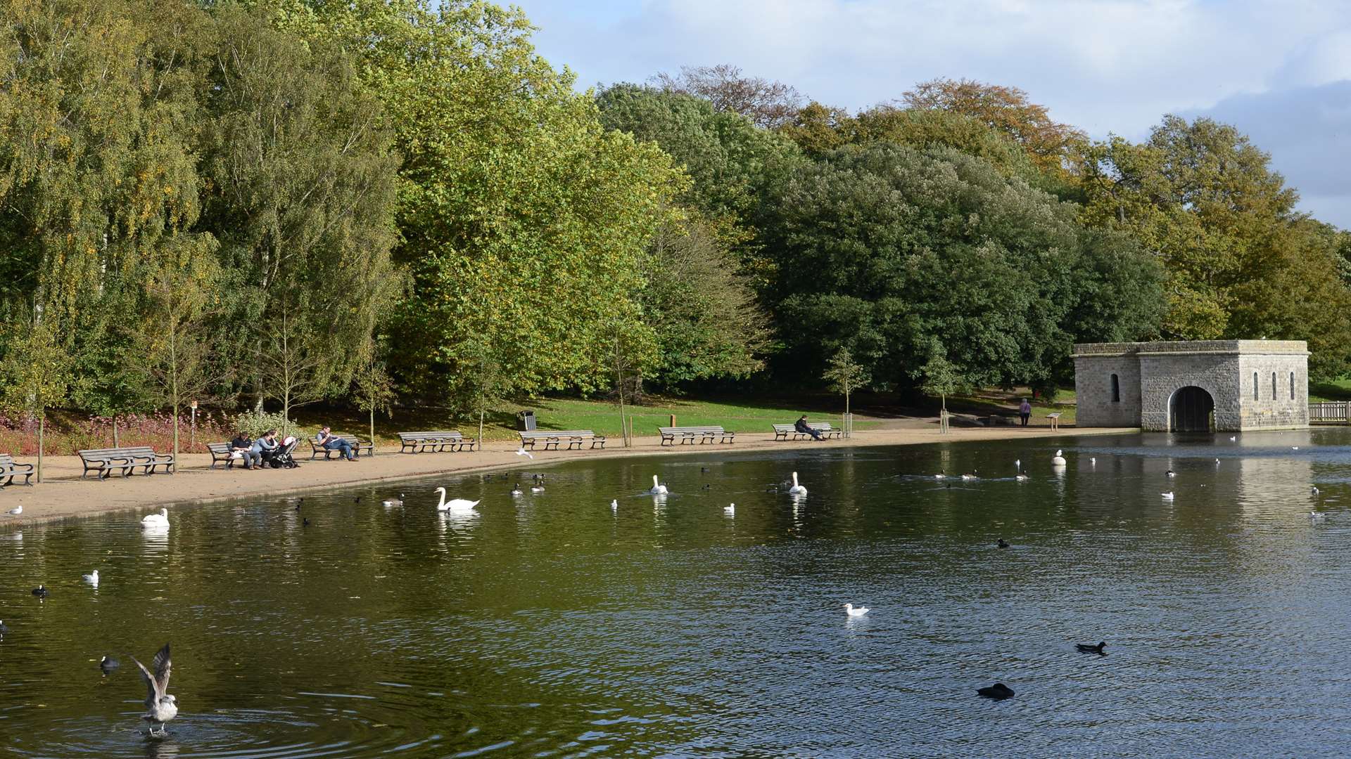 Chihuahua Bomber was set upon in Mote Park