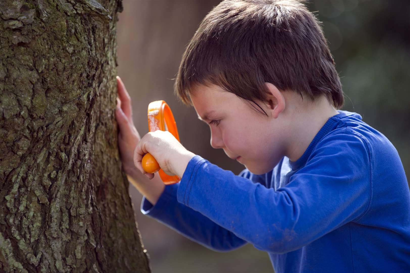 Equipment for learning is amongst the items available to order