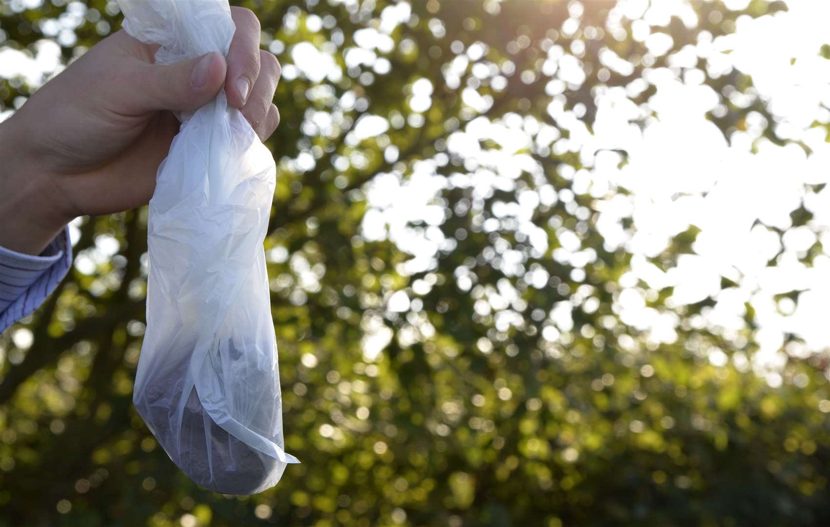 Dog poo is being thrown into the construction site in Aylesham. Stock image