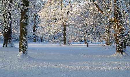 Beautiful Mote Park, Maidstone, this morning. Picture: Joanne Clark